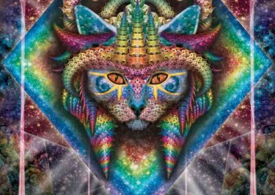 Psychedelic Cat art Sacred Geometry fractals